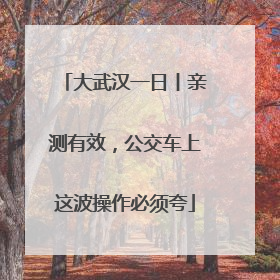 大武汉一日丨亲测有效，公交车上这波操作必须夸
