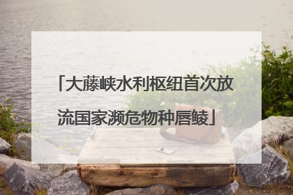大藤峡水利枢纽首次放流国家濒危物种唇鲮