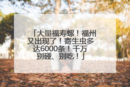 大量福寿螺！福州又出现了！寄生虫多达6000条！千万别碰、别吃！