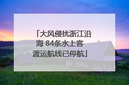 大风侵扰浙江沿海 84条水上客渡运航线已停航