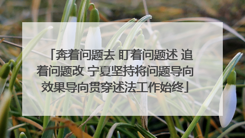 奔着问题去 盯着问题述 追着问题改 宁夏坚持将问题导向效果导向贯穿述法工作始终