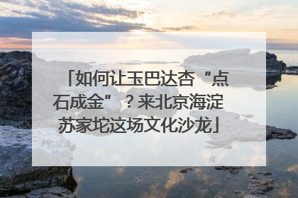 如何让玉巴达杏“点石成金”？来北京海淀苏家坨这场文化沙龙