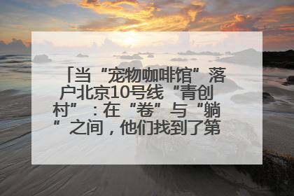当“宠物咖啡馆”落户北京10号线“青创村”：在“卷”与“躺”之间，他们找到了第三种生活公式
