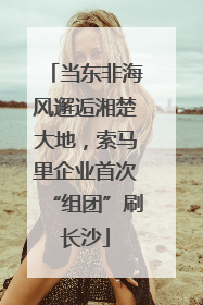 当东非海风邂逅湘楚大地，索马里企业首次“组团”刷长沙