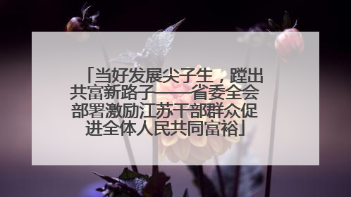 当好发展尖子生，蹚出共富新路子——省委全会部署激励江苏干部群众促进全体人民共同富裕