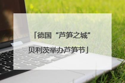 德国“芦笋之城”贝利茨举办芦笋节