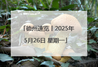 德州速览丨2025年5月26日 星期一