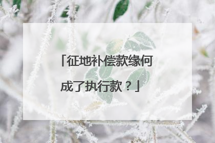 征地补偿款缘何成了执行款？