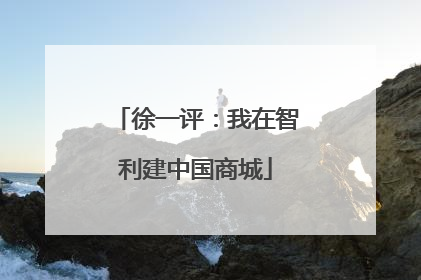 徐一评：我在智利建中国商城