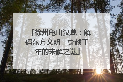 徐州龟山汉墓：解码东方文明，穿越千年的未解之谜