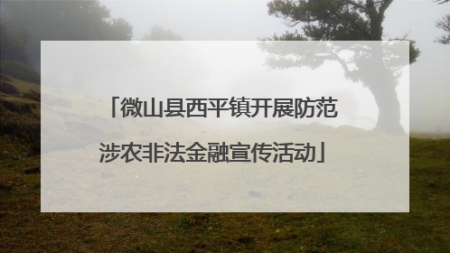 微山县西平镇开展防范涉农非法金融宣传活动