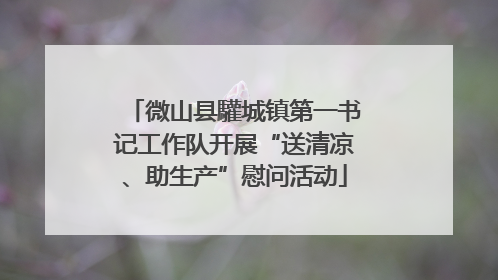 微山县驩城镇第一书记工作队开展“送清凉、助生产”慰问活动