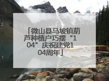 微山县马坡镇葫芦种植户巧摆“104”庆祝建党104周年