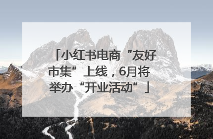 小红书电商“友好市集”上线，6月将举办“开业活动”
