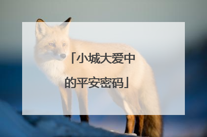小城大爱中的平安密码