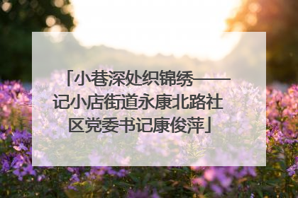 小巷深处织锦绣——记小店街道永康北路社区党委书记康俊萍