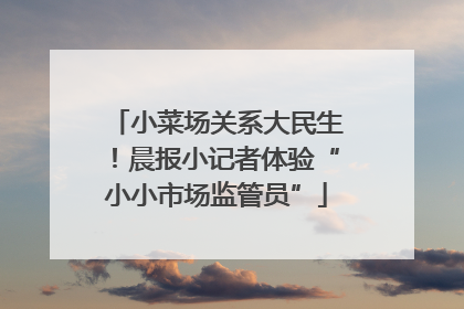 小菜场关系大民生！晨报小记者体验“小小市场监管员”