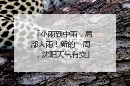 小雨到中雨，局部大雨！新的一周，沈阳天气有变