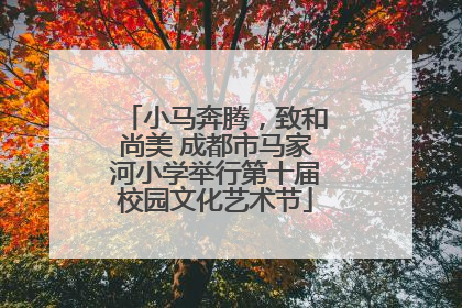 小马奔腾，致和尚美 成都市马家河小学举行第十届校园文化艺术节