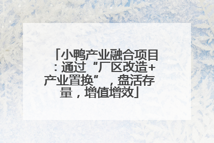 小鸭产业融合项目：通过“厂区改造+产业置换”，盘活存量，增值增效
