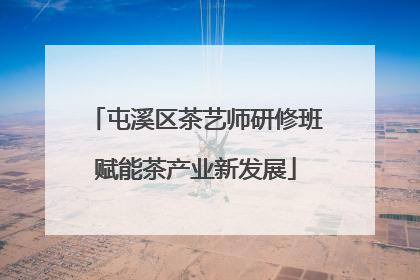 屯溪区茶艺师研修班赋能茶产业新发展