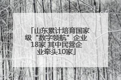 山东累计培育国家级“数字领航”企业18家 其中民营企业牵头10家