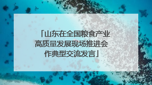 山东在全国粮食产业高质量发展现场推进会作典型交流发言