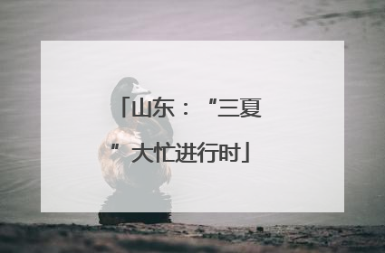 山东：“三夏”大忙进行时
