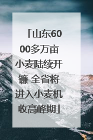 山东6000多万亩小麦陆续开镰 全省将进入小麦机收高峰期