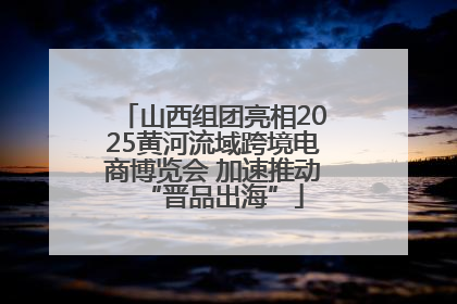 山西组团亮相2025黄河流域跨境电商博览会 加速推动“晋品出海”