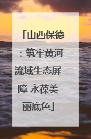 山西保德：筑牢黄河流域生态屏障 永葆美丽底色