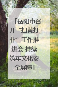 岳阳市召开“扫黄打非”工作推进会 持续筑牢文化安全屏障