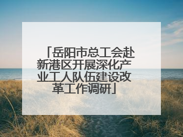 岳阳市总工会赴新港区开展深化产业工人队伍建设改革工作调研