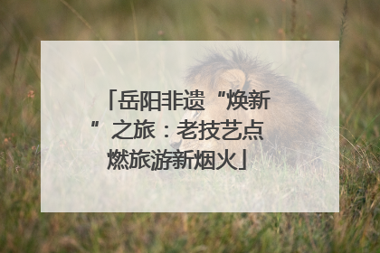 岳阳非遗“焕新”之旅：老技艺点燃旅游新烟火