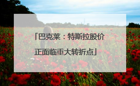 巴克莱：特斯拉股价正面临重大转折点