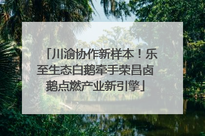 川渝协作新样本！乐至生态白鹅牵手荣昌卤鹅点燃产业新引擎