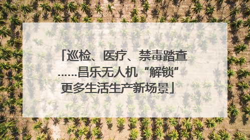 巡检、医疗、禁毒踏查……昌乐无人机“解锁”更多生活生产新场景