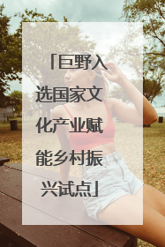 巨野入选国家文化产业赋能乡村振兴试点