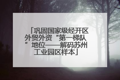 巩固国家级经开区外贸外资“第一梯队”地位——解码苏州工业园区样本