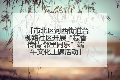 市北区河西街道台柳路社区开展“粽香传情·邻里同乐”端午文化主题活动