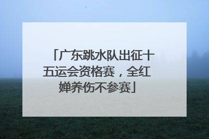 广东跳水队出征十五运会资格赛，全红婵养伤不参赛