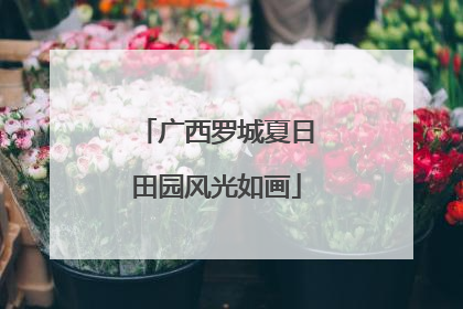 广西罗城夏日田园风光如画