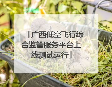 广西低空飞行综合监管服务平台上线测试运行