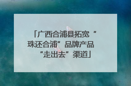 广西合浦县拓宽“珠还合浦”品牌产品“走出去”渠道
