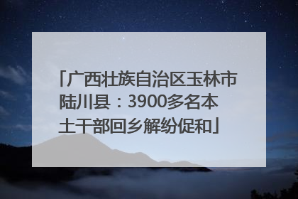 广西壮族自治区玉林市陆川县：3900多名本土干部回乡解纷促和