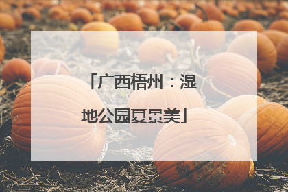 广西梧州：湿地公园夏景美