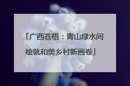 广西苍梧：青山绿水间绘就和美乡村新画卷