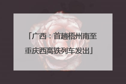 广西：首趟梧州南至重庆西高铁列车发出