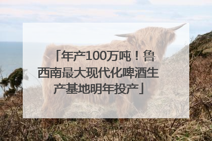 年产100万吨！鲁西南最大现代化啤酒生产基地明年投产