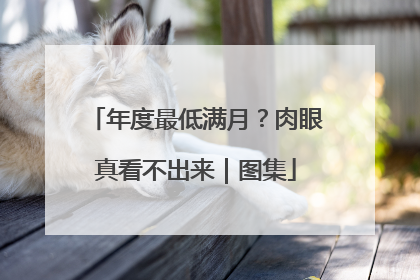 年度最低满月？肉眼真看不出来｜图集